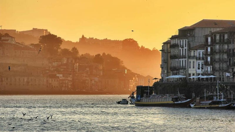 Porto: Sunset Bridges Cruise - Who Should Consider This Tour?