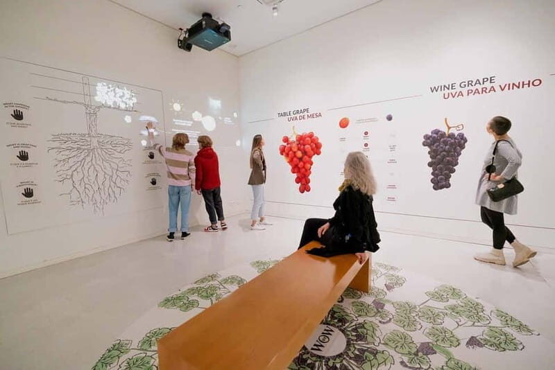 Porto: Taylors Port Cellar Tour & WOW Wine Experience - FAQ