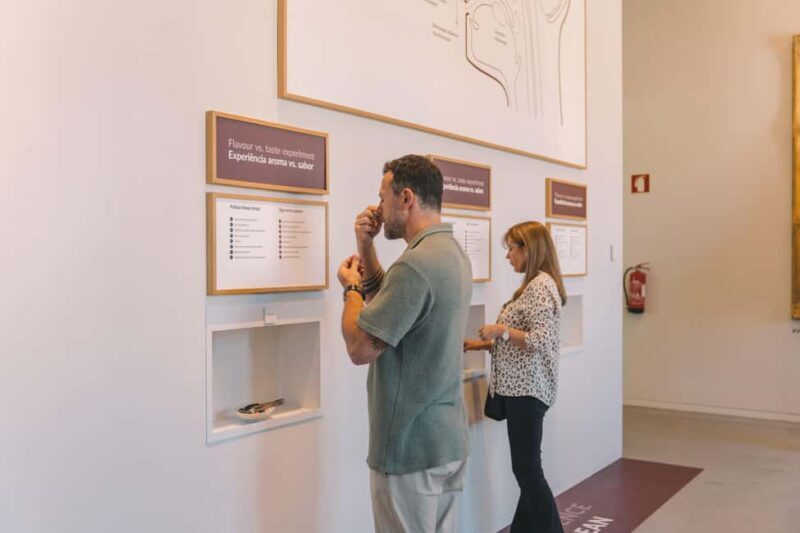 Porto: The Wine Experience, Best Wine Museum in the World - Practical Tips for Visiting