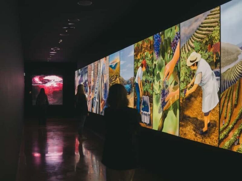 Porto: The Wine Experience, Best Wine Museum in the World - Who Will Love This Tour?