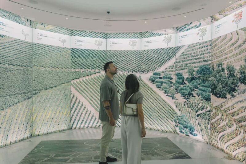 Porto: The Wine Experience, Best Wine Museum in the World - Final Thoughts