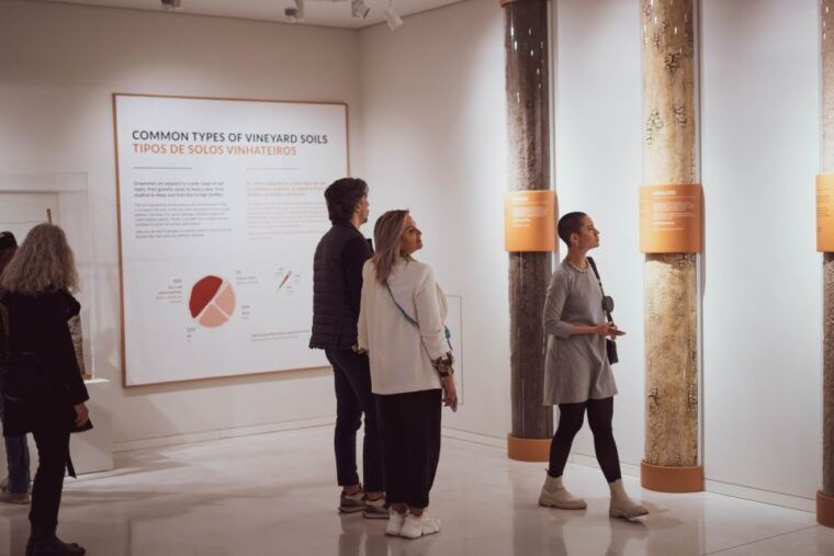 porto-the-wine-experience-entry-ticket-tasting-at-wow