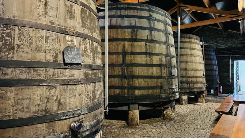Porto to Gaia Experience: City Walk and Wine Cellars - Who Is This Tour Best Suited For?