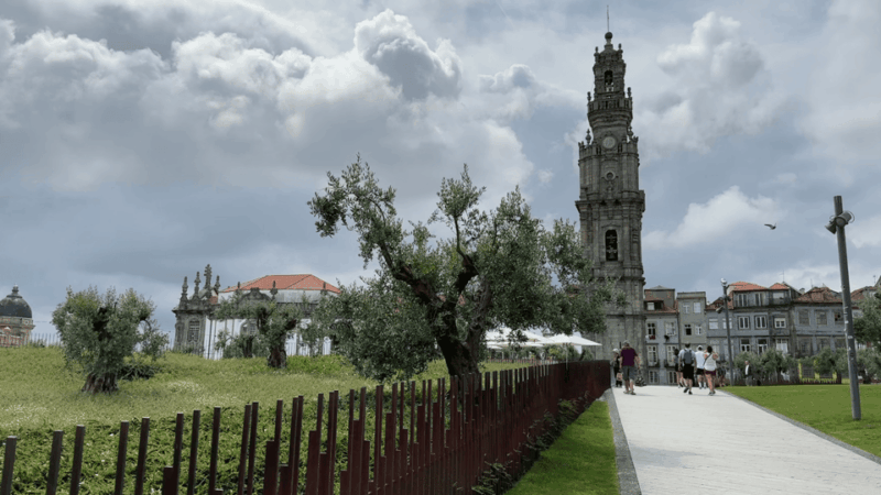 porto-to-gaia-experience-history-and-wine-tasting-tour