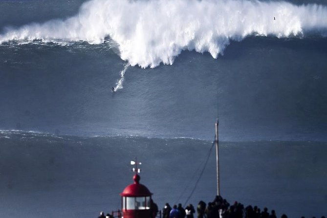 porto-to-lisbon-with-up-to-5-stops-aveiro-coimbra-fatima-nazare-obidos