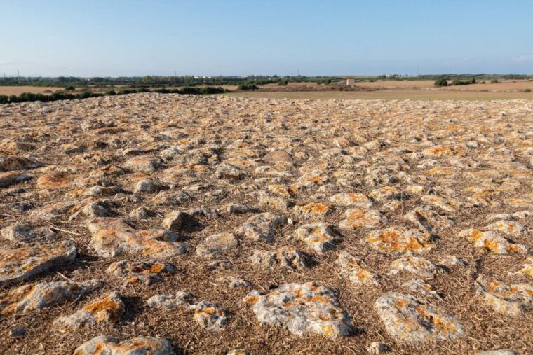porto-torres-monte-daccoddi-su-crucifissu-mannu