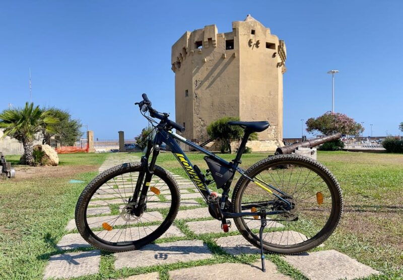 porto-torres-rent-your-mountain-bike-to-discover-asinara