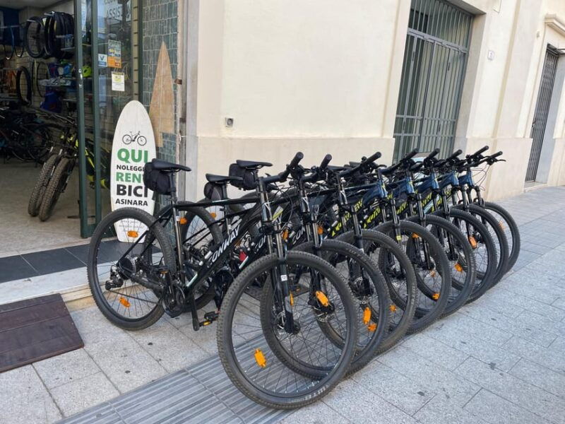 porto-torres-rent-your-mountain-bike-to-discover-asinara