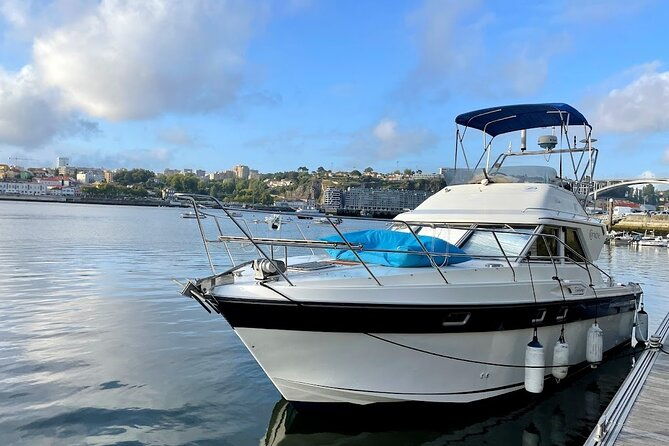 porto-tour-6-bridges-on-the-douro-river-with-welcome-drink