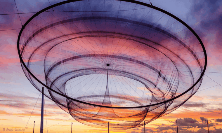 porto-tour-a-tour-a-thousand-stories-in-tuk-tuk-3h