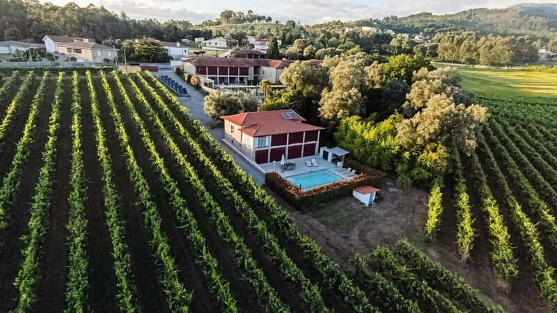 Porto Tour: Vinho Verde / Braga / Guimarães - Key Points