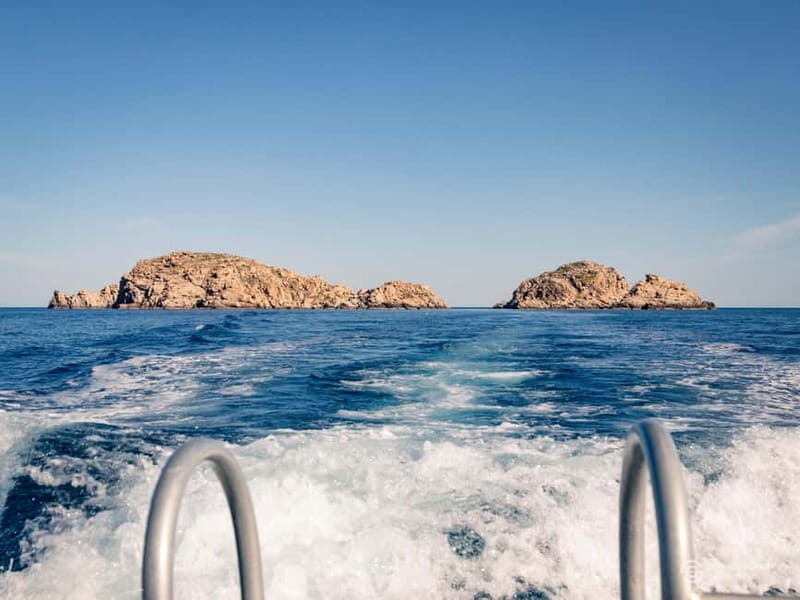 Porto-Vecchio: beginner diving in the Cerbicale Islands in the reserve - The Experience from Review Insights