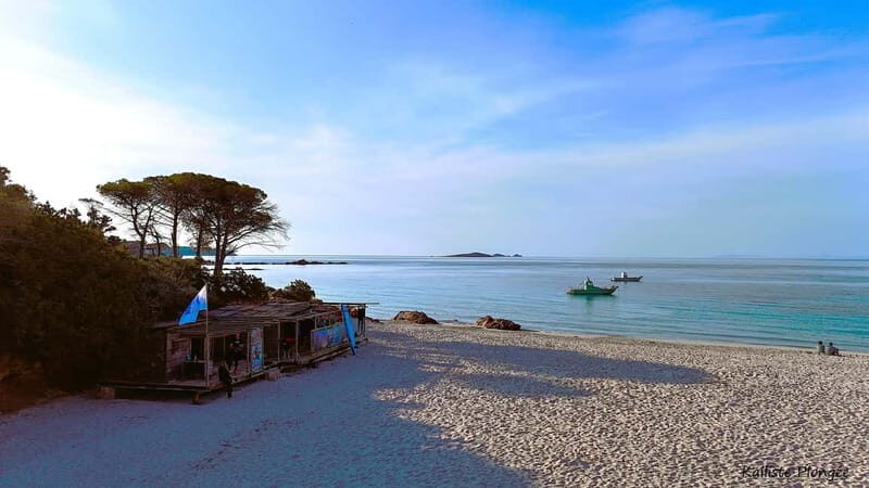 Porto-Vecchio: beginner diving in the Cerbicale Islands in the reserve - Who Should Consider This Tour?