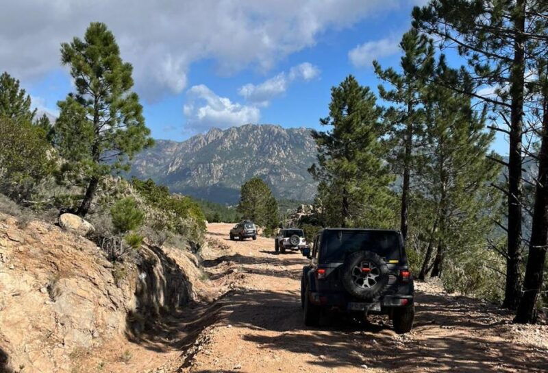 porto-vecchio-cuscionu-plateau-alta-rocca-4x4-tour