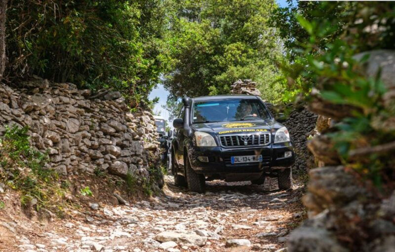 porto-vecchio-cuscionu-plateau-alta-rocca-4x4-tour