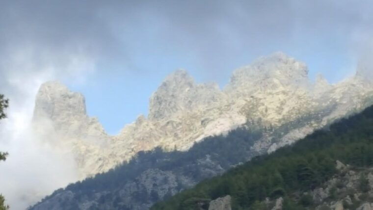 porto-vecchio-cuscionu-plateau-alta-rocca-4x4-tour
