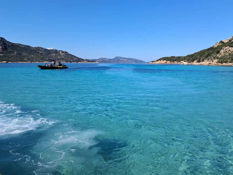 Porto-Vecchio : Discover Nature Through the Lavezzi Islands - Final Thoughts: Who Will Love This Tour?