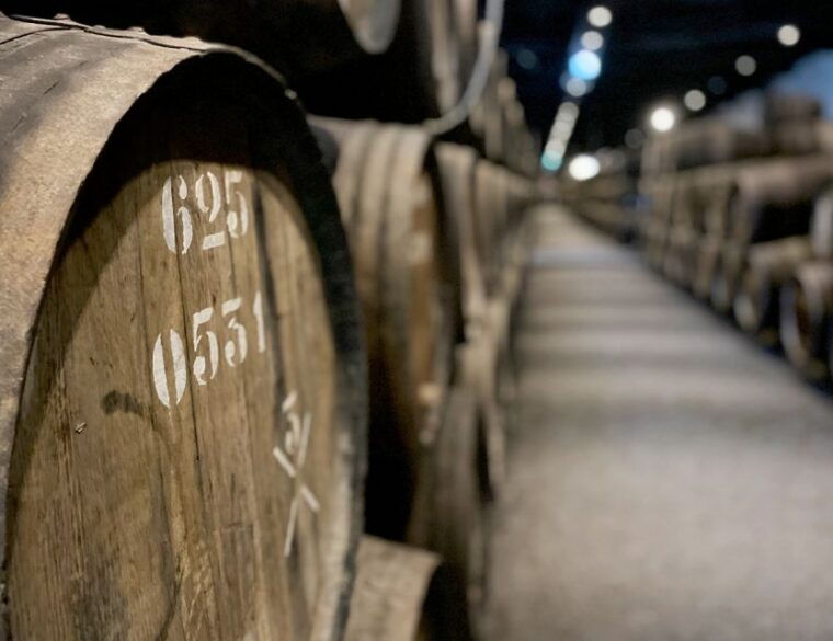 porto-wine-tasting-with-tapas-walking-tour