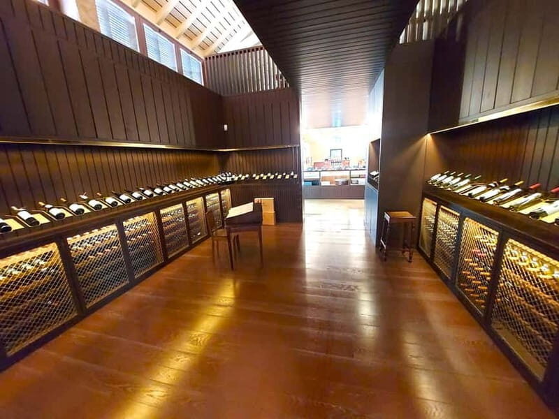 Porto: Wine Tastings (Green Wine) & Lunch & Porto Old Tour - Final Thoughts