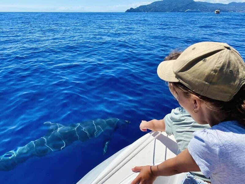 Portofino: Boat Tours in the Marine Protected Area - The Sum Up