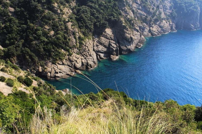 Portofino Park: Hiking Guided Tour to S. Fruttuoso - What’s Included and What to Prepare