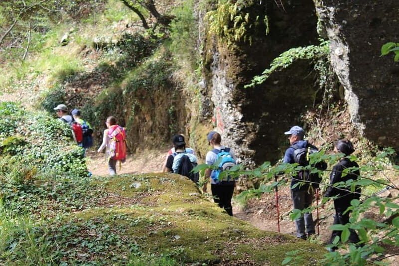 Portofino Park: Hiking Guided Tour to S. Fruttuoso - Why This Tour Offers More Than Just a Hike