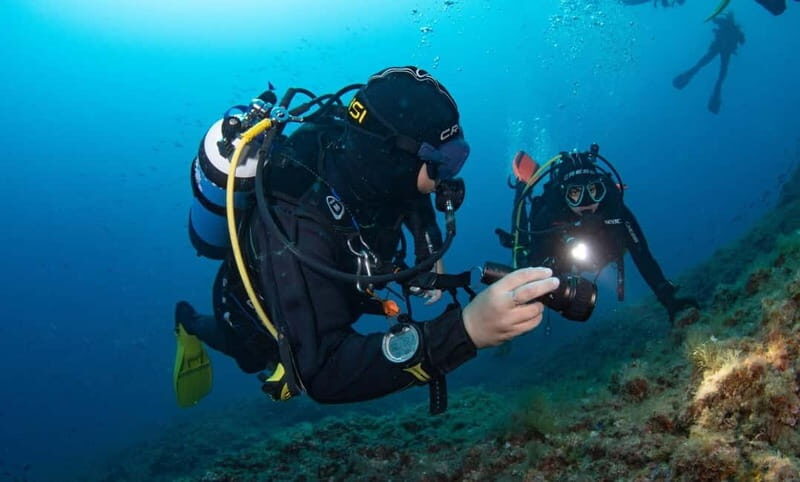 Portofino: scuba diving from Genoa - Key Points