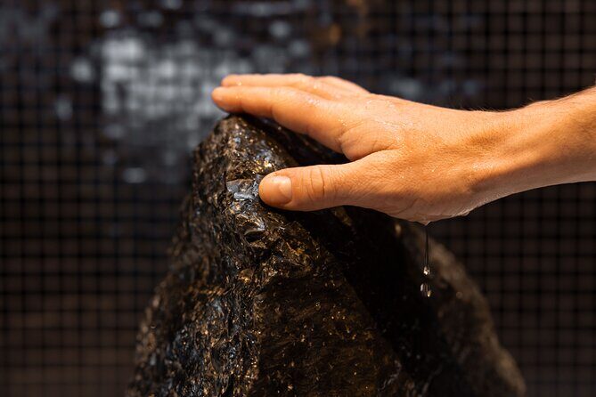 Ports of Tauranga Geothermal & Deluxe Spa (restricted 16+) - A Deep Dive into the Tauranga Geothermal & Spa Tour