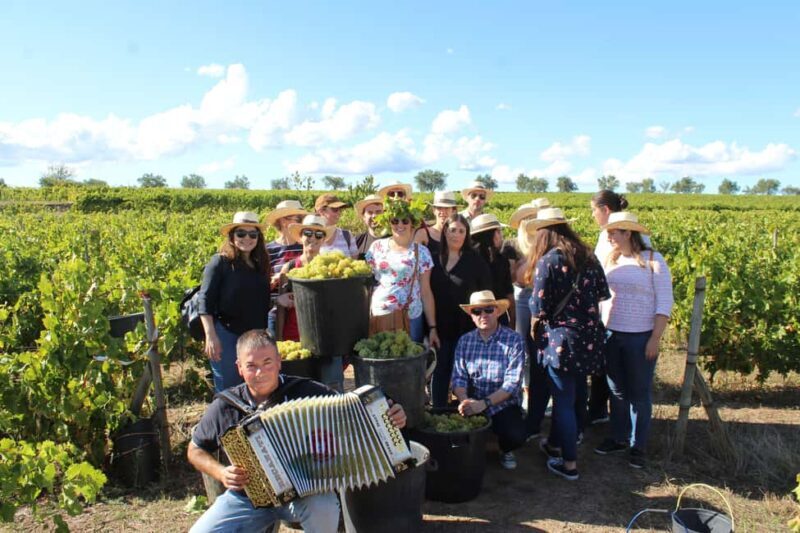 Portugal: 2 days in the Douro Valley with Harvest experience - Who Should Consider This Tour?