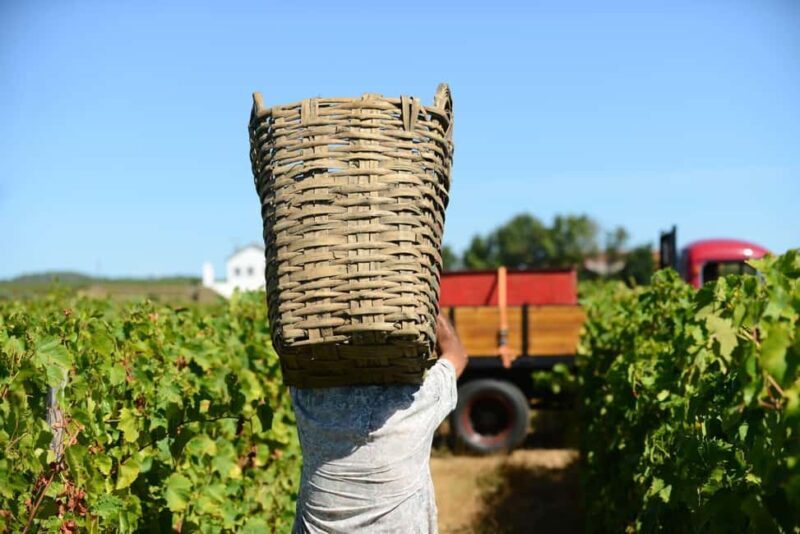 Portugal: 2 days in the Douro Valley with Harvest experience - FAQs