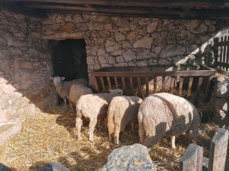 portugal-fatima-aljustrel-valinhos-trip-with-picnic