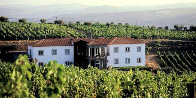 portugal-premium-bike-tour-atlantic-coast-to-douro-valley