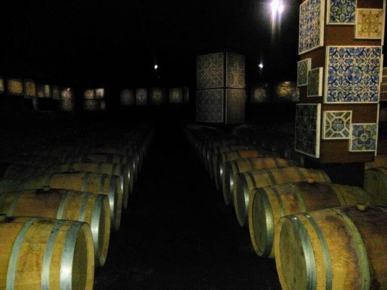 portuguese-tiles-and-wine-history-private-tour