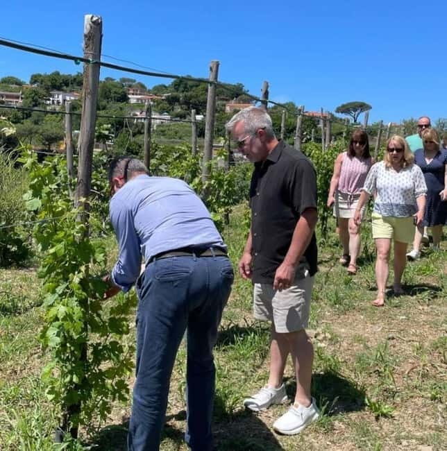 Positano: Cooking class and tasting with a view of the Galli Islands - Why This Experience Is Worth Considering