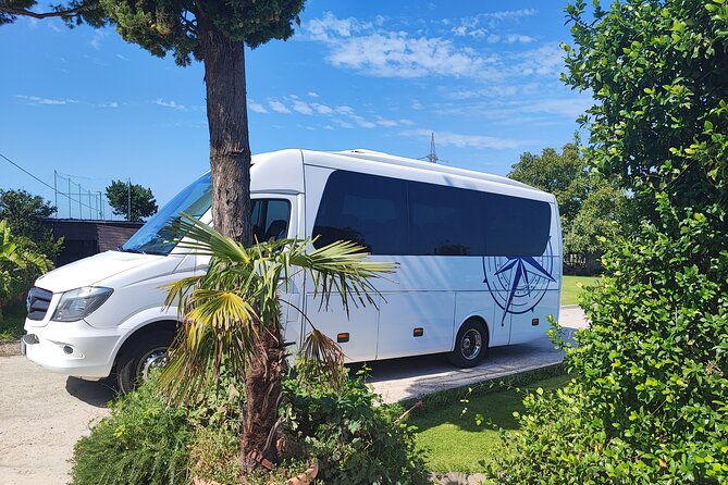 positano-sorrento-and-pompeii-guided-tour-from-naples