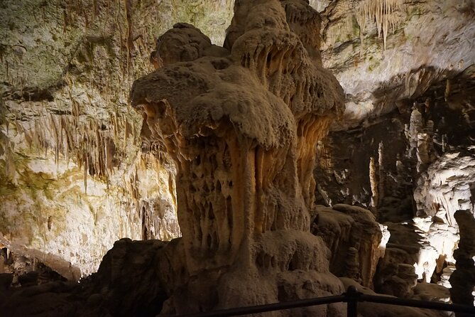 postojna-cave-and-predjama-castle-tour-from-ljubljana-5