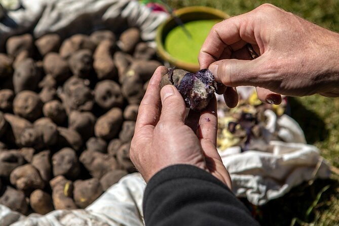 potato-park-lagoons-private-hike-with-lunch-in-sacred-valley