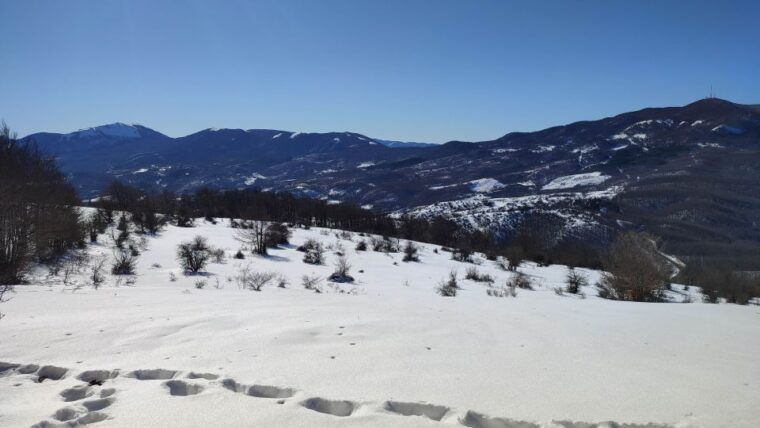 potenza-guided-mountain-walking-tour-with-snowshoes