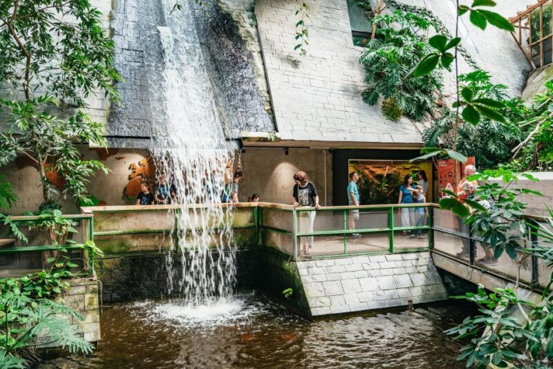 potsdam-biosphere-potsdam-entry-ticket