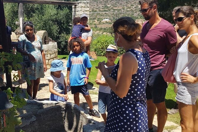 pottery-honey-olive-oil-experience