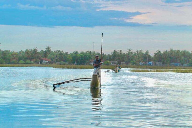 pottuvil-lagoon-eco-tour-mangrove-adventure-in-arugam-bay