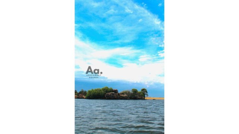 pottuvil-lagoon-eco-tour-mangrove-adventure-in-arugam-bay