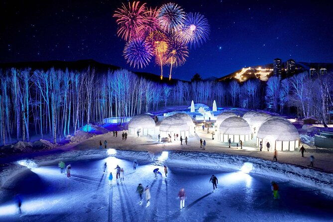 powder-belt-pass-5-days-ticket-brush-dyeing-experience