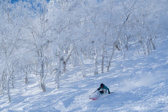 powder-belt-pass-5-days-ticket-brush-dyeing-experience