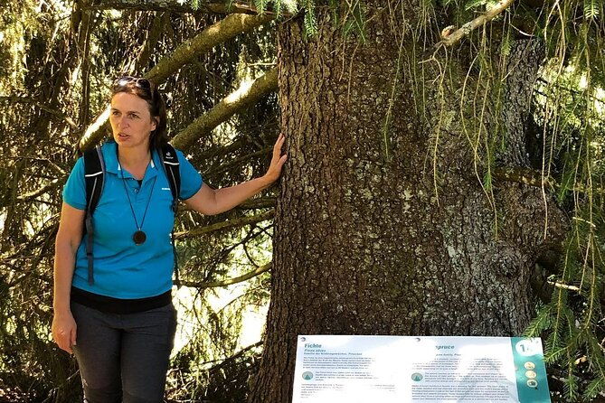 power-of-trees-private-tasting-tour