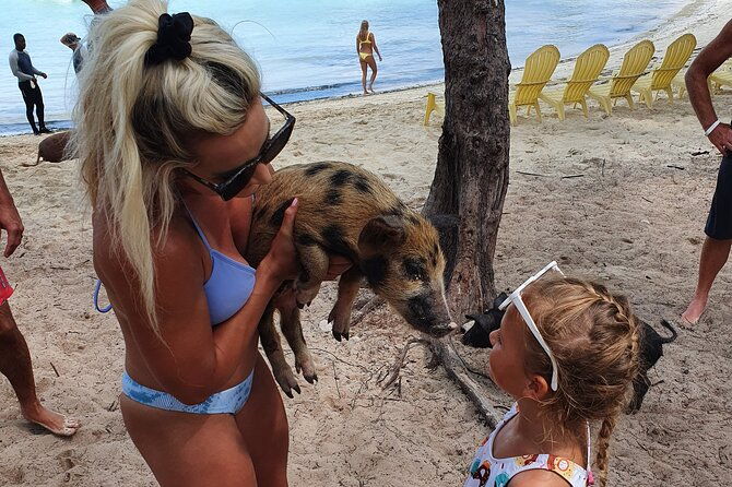 powerboat-and-snorkel-experience-with-swimming-pigs-and-turtles