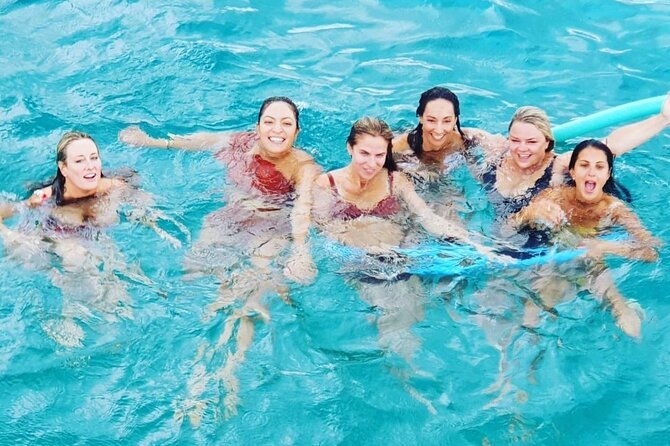 powerboat-and-snorkel-experience-with-swimming-pigs-and-turtles