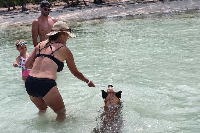powerboat-and-snorkel-experience-with-swimming-pigs-and-turtles