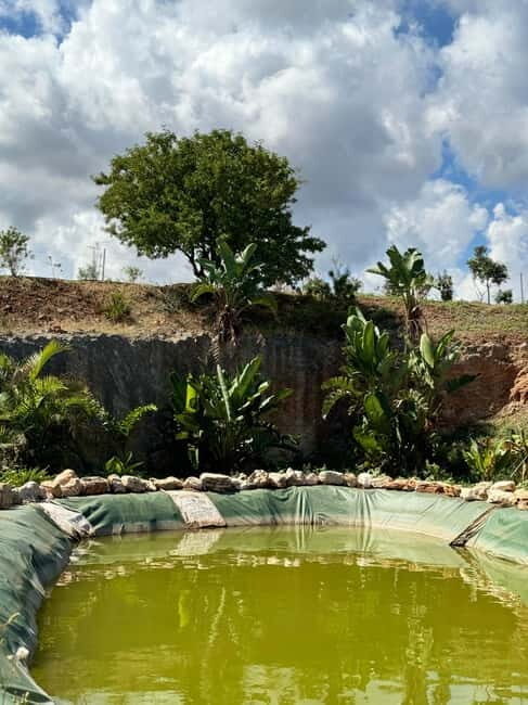 Pozzo Faceto: botanical garden - FAQ