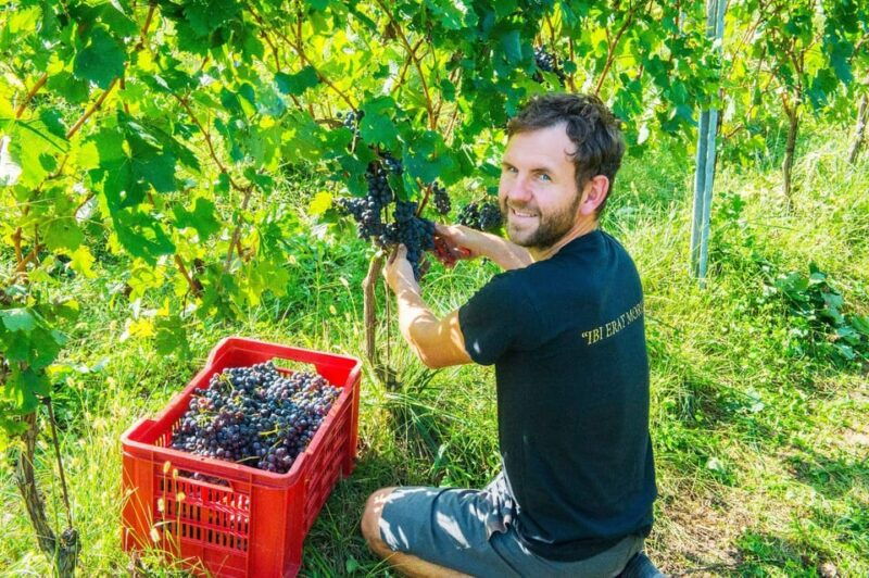 pozzolengo-vineyard-tour-and-tasting-of-typical-garda-wines